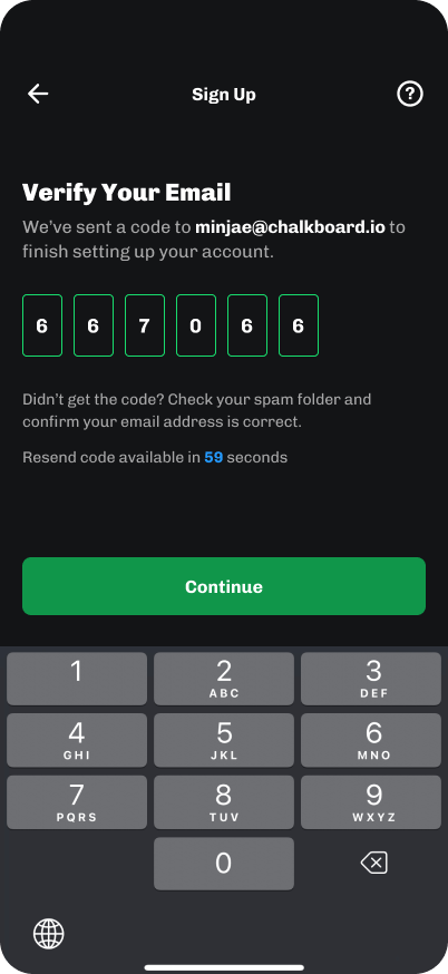 Email verification code entry